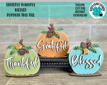 Load image into Gallery viewer, Grateful Thankful Blessed Pumpkin Trio File SVG, Fall Glowforge, Fall LuckyHeartDesignsCo