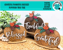 Load image into Gallery viewer, Grateful Thankful Blessed Pumpkin Trio File SVG, Fall Glowforge, Fall LuckyHeartDesignsCo
